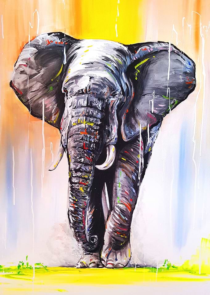 Elephant