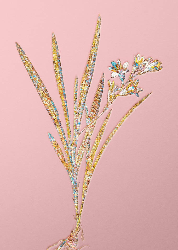 Pink Rainbow Mosaic Flower