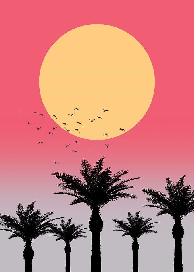 Palm Trees