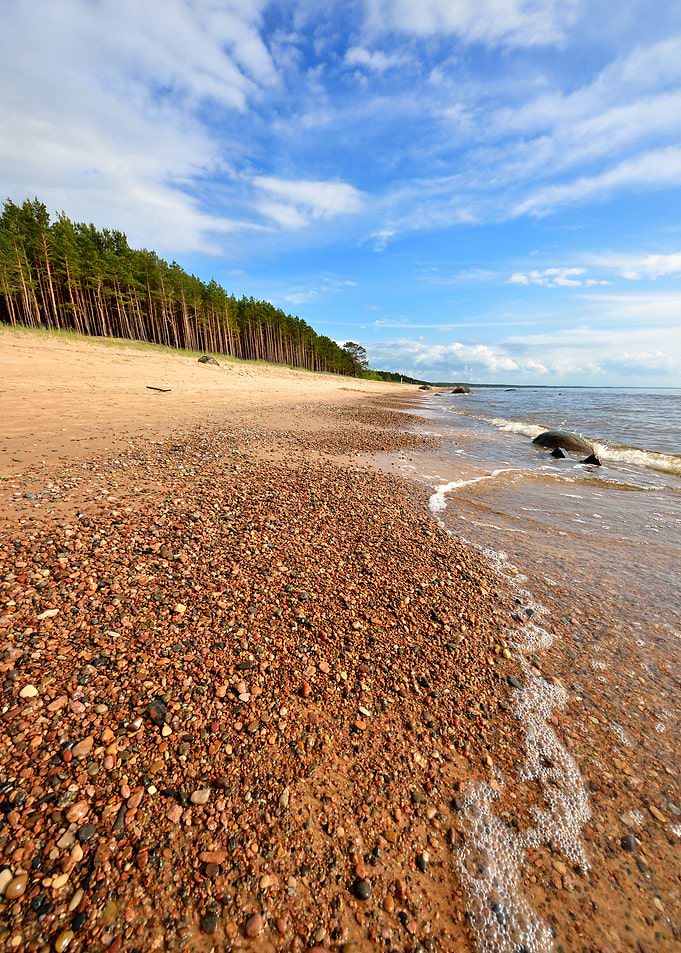 Baltic Sea Shore In Latvia