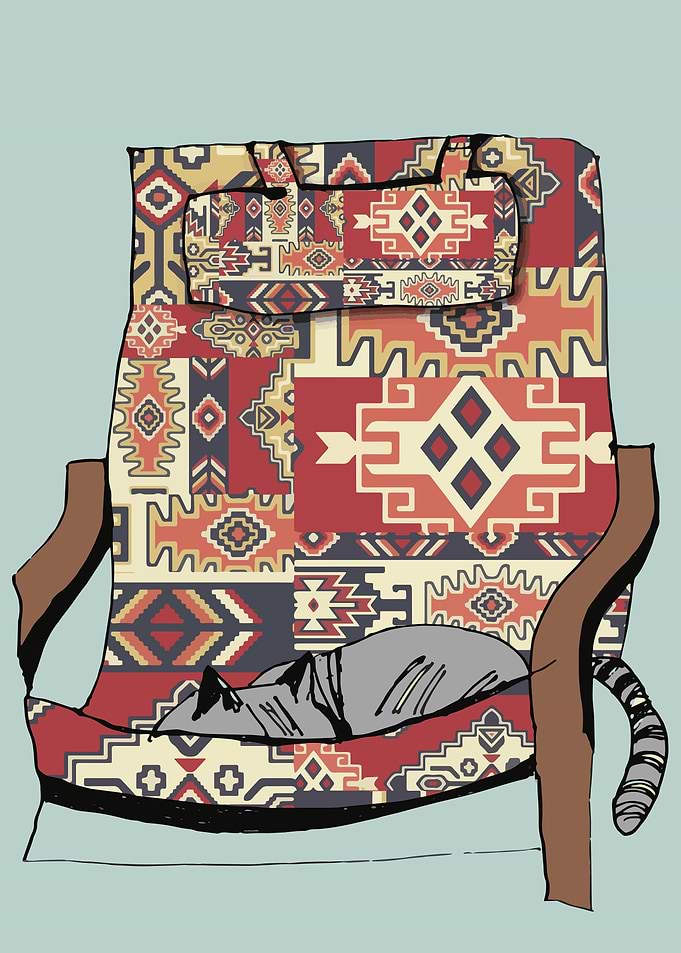Sleeping cat