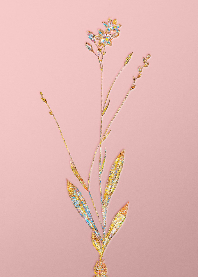Pink Rainbow Mosaic Flower