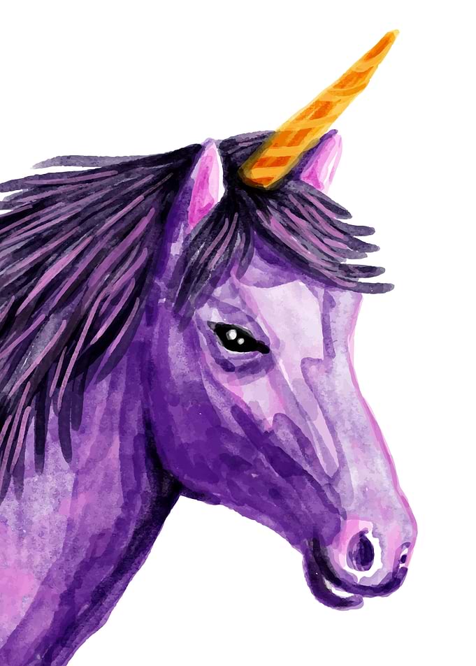 purple unicorn