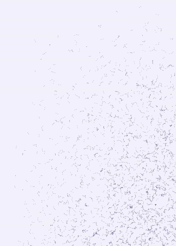 Network Mesh