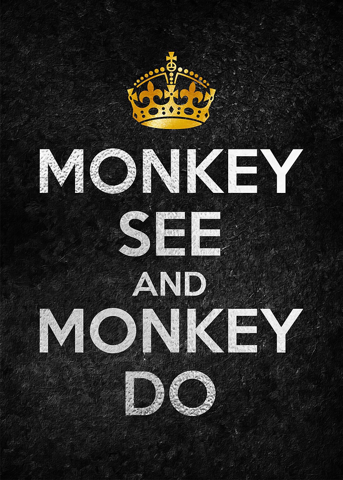 MONKEY SEE AND MONKEY DO