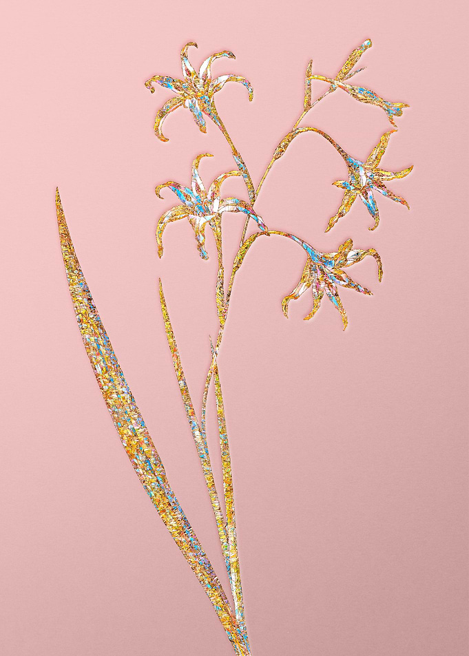 Pink Rainbow Mosaic Flower