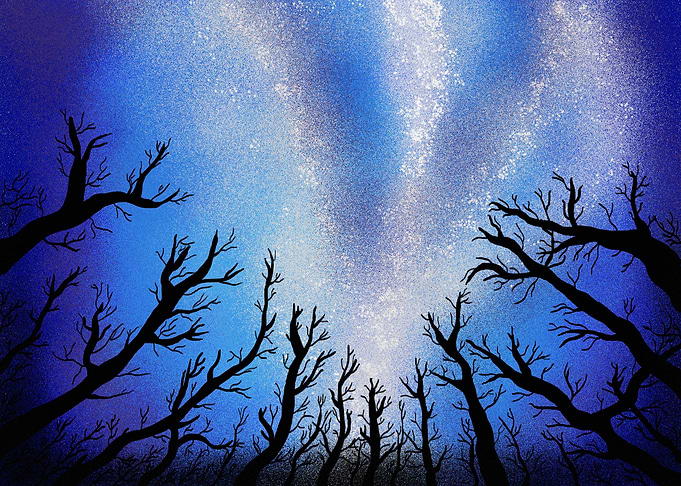 Starry Forest