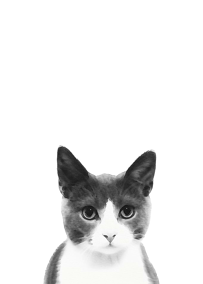 Watercolor Cat