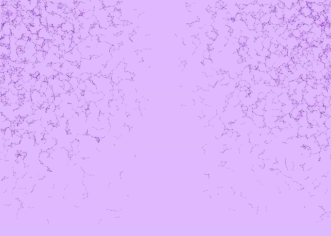 Network Mesh