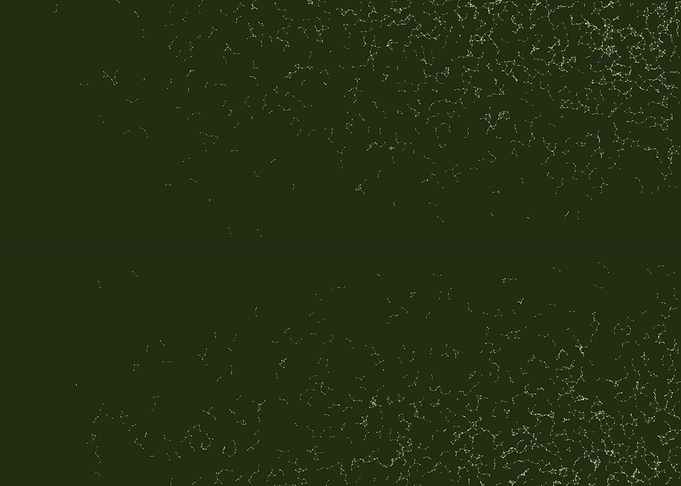 Network Mesh