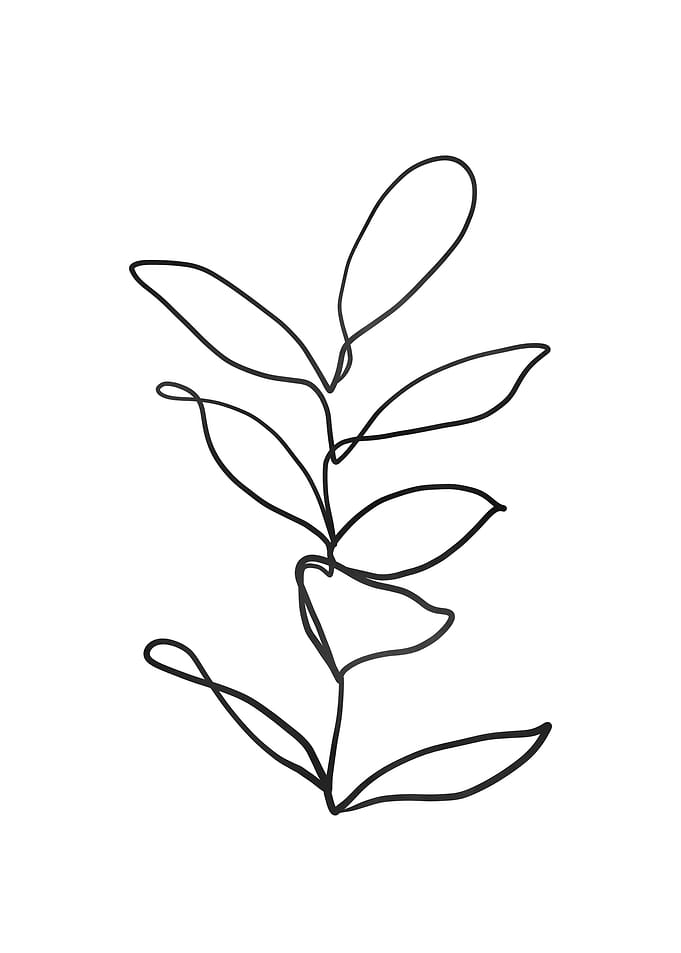 Lines Leaves II