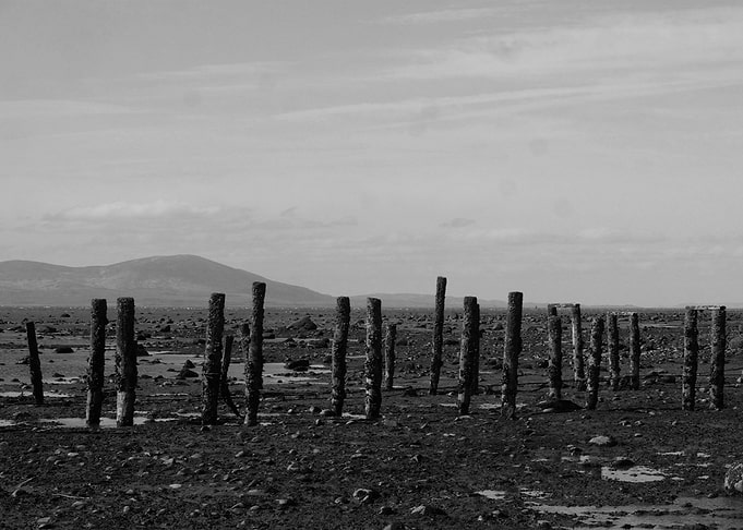 Beach Poles