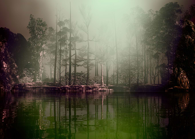 Green Lake And Wood