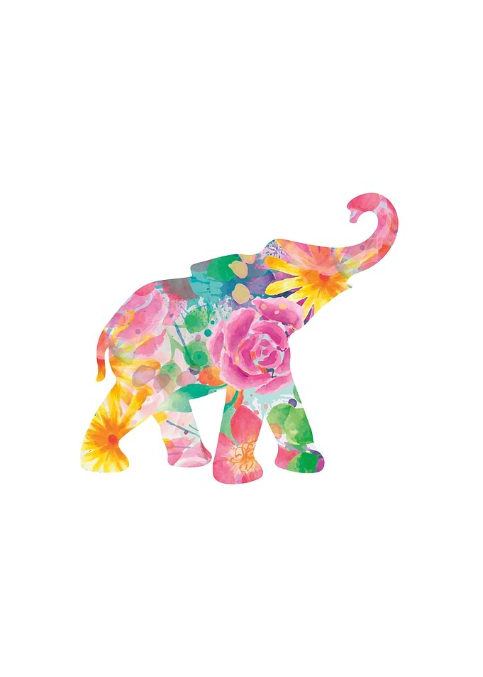 Floral Elephant