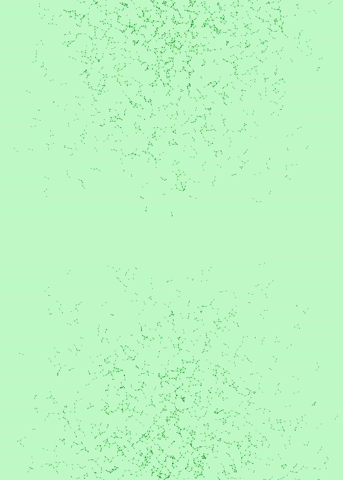 Network Mesh