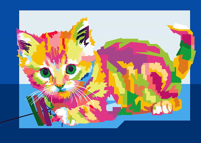 WPAP Cat