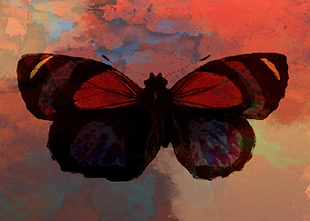 Butterfly Red