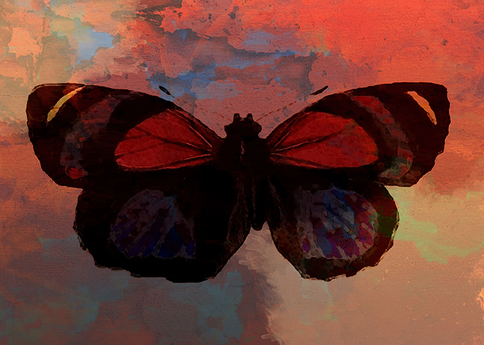 Butterfly Red
