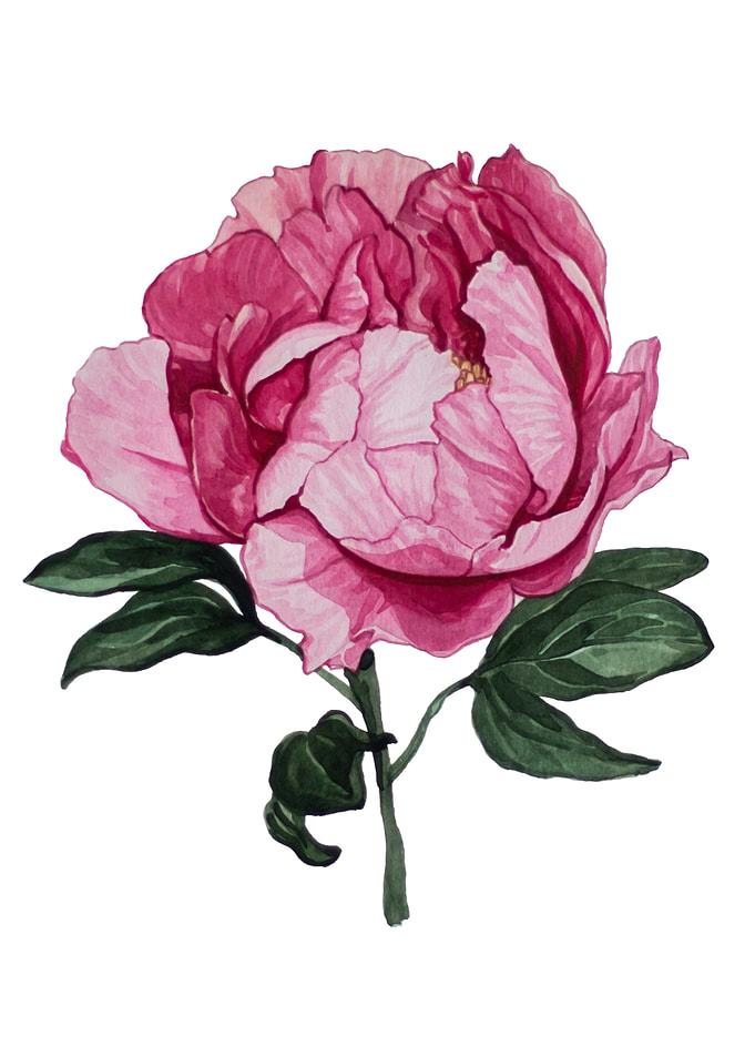 Peony
