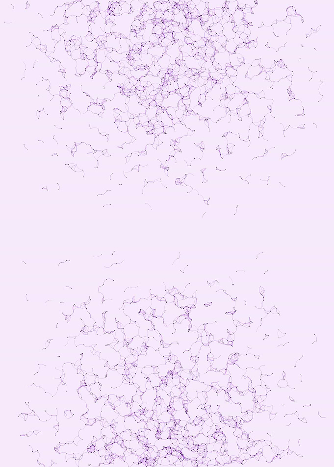 Network Mesh