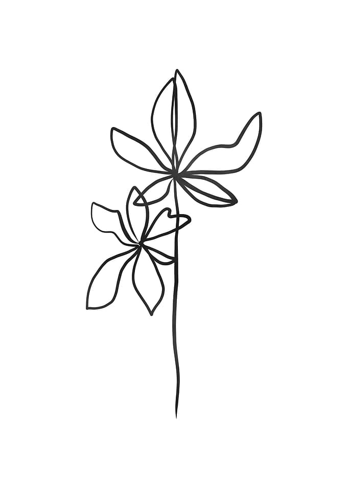 Lines Leaves I