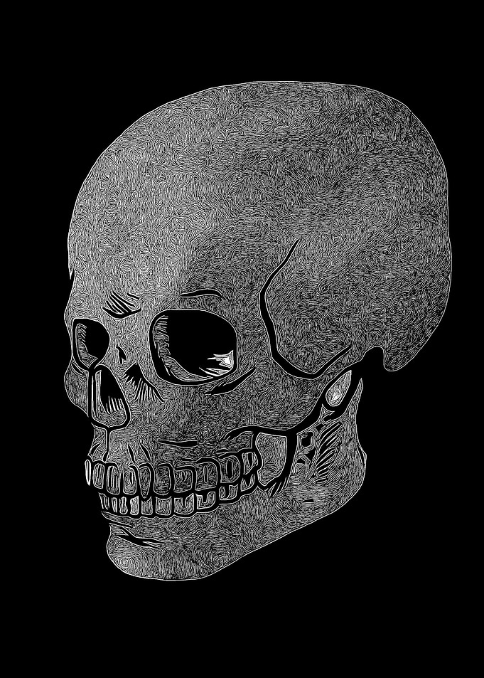 Skull