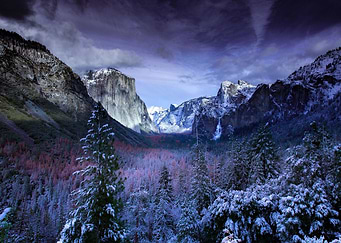 Pure Landscape