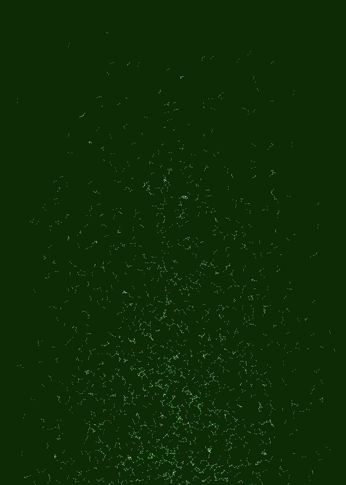 Network Mesh