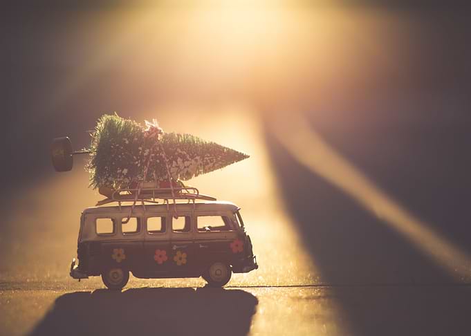 Small Christmas Tree