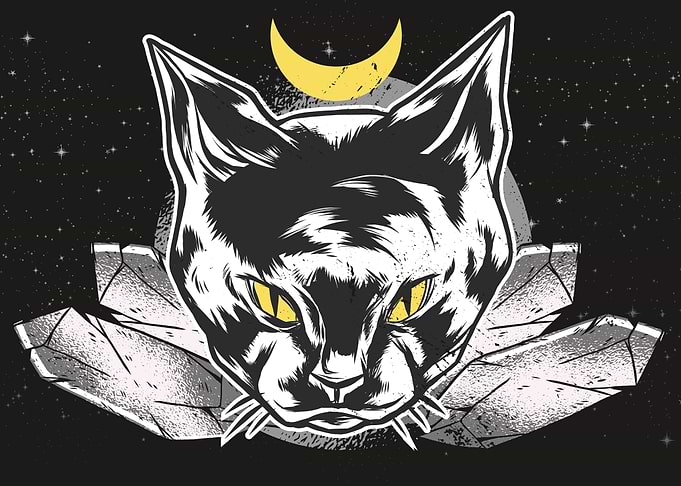 Dark Cat