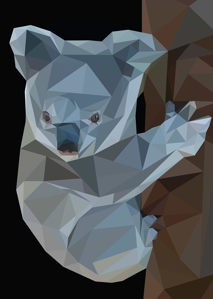 koala