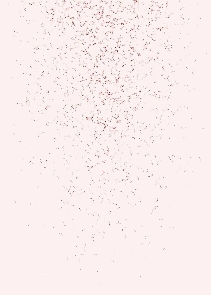 Network Mesh