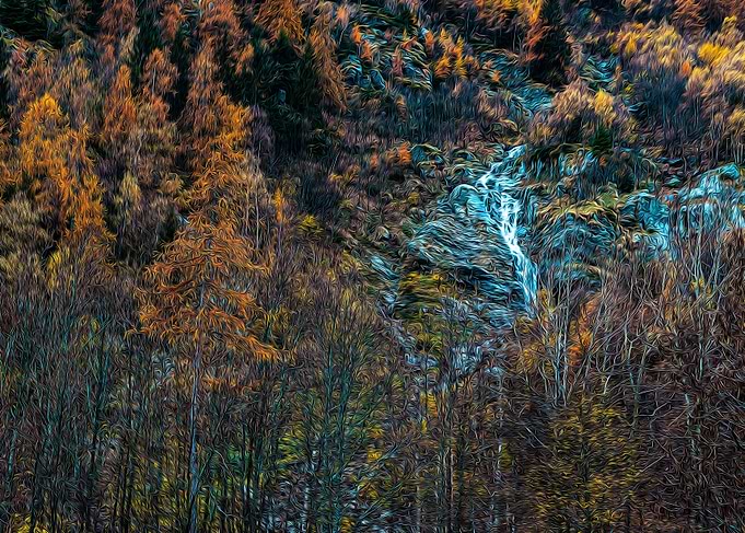 Misty forest in the Alps