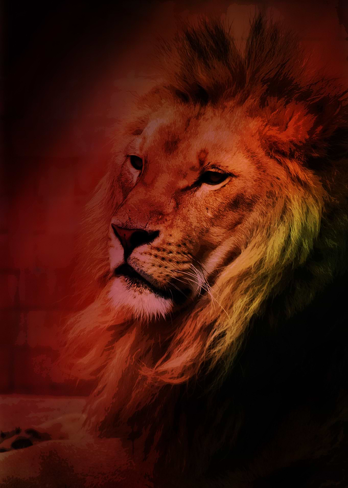 Lion King Head Poster