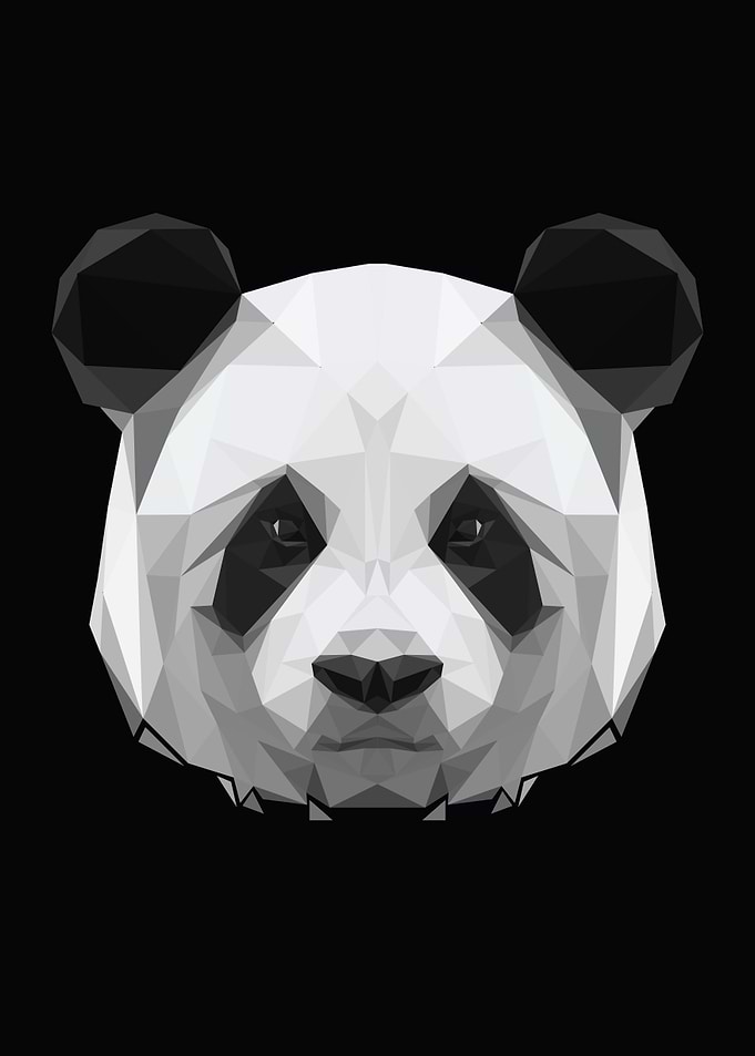 panda
