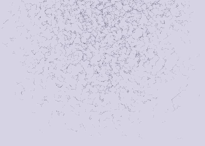 Network Mesh
