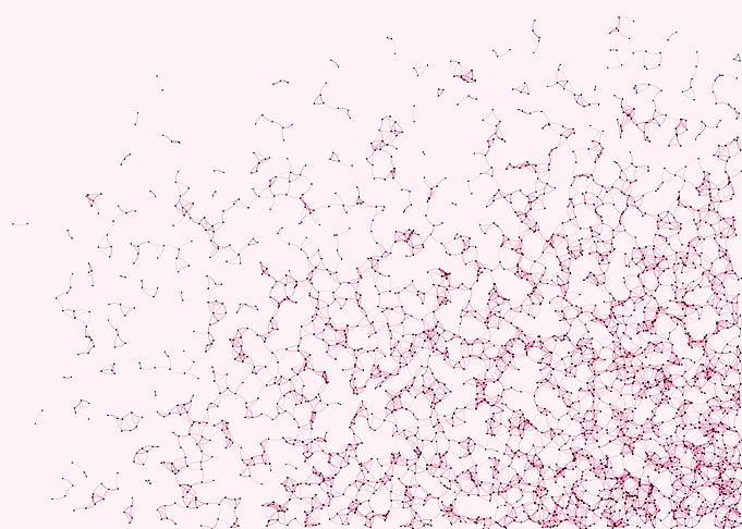 Network Mesh