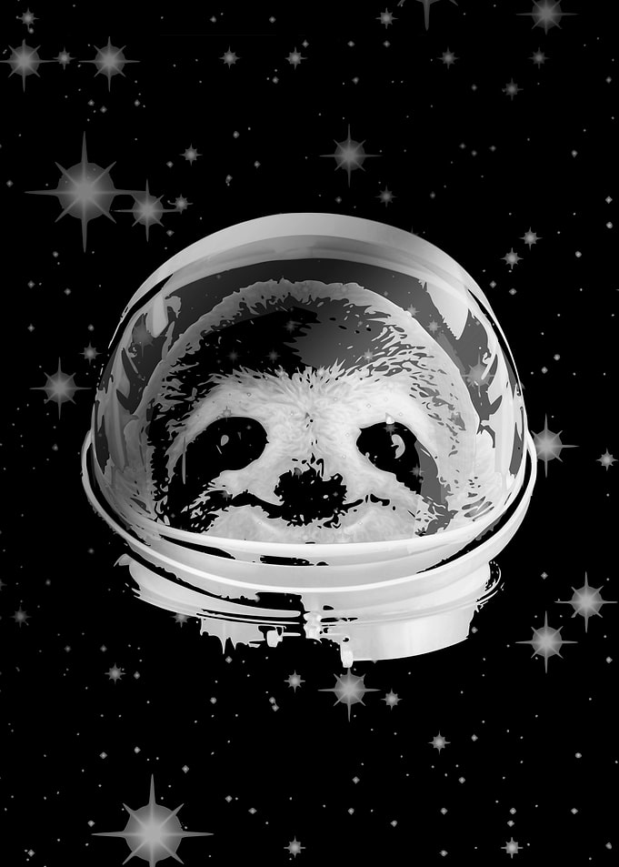 Sloth Astronaut