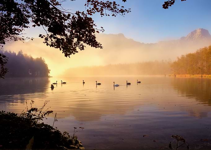 Misty Morning