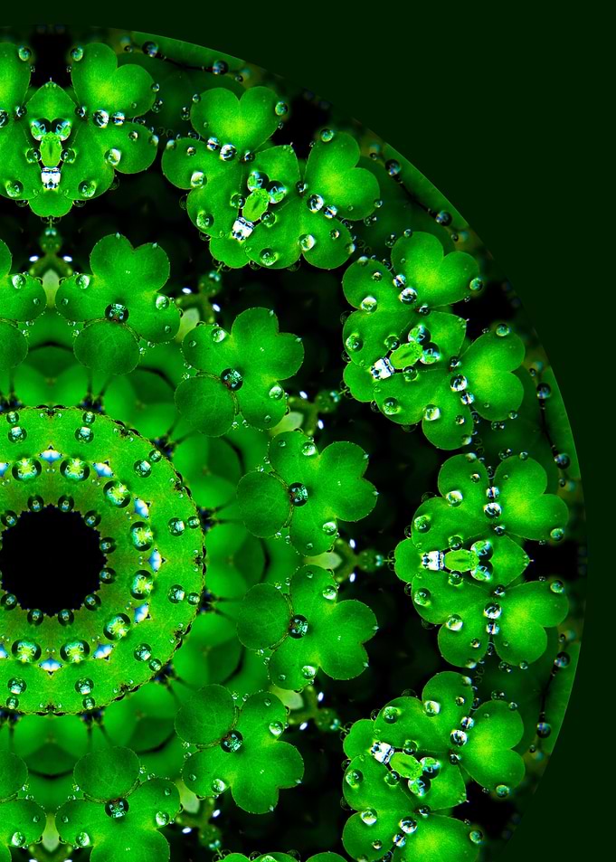 Shamrock Mandala