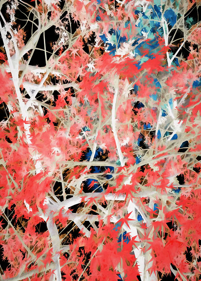 Autumnal Trees 2