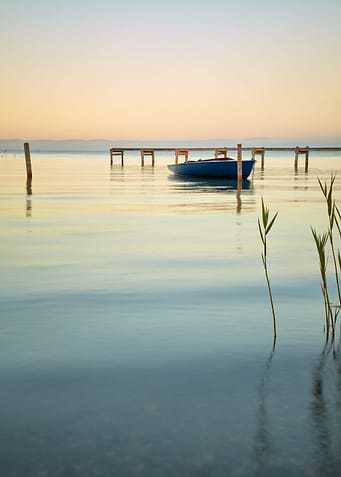 Calm Morning
