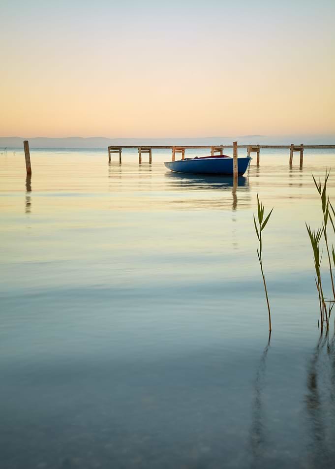 Calm Morning