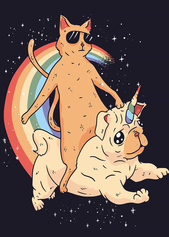 CAT RIDING Dog