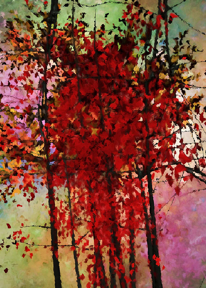 Red Trees