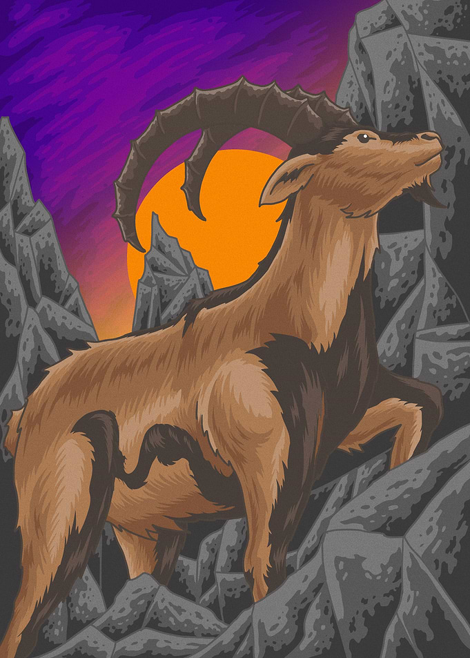 Pyrenean Ibex