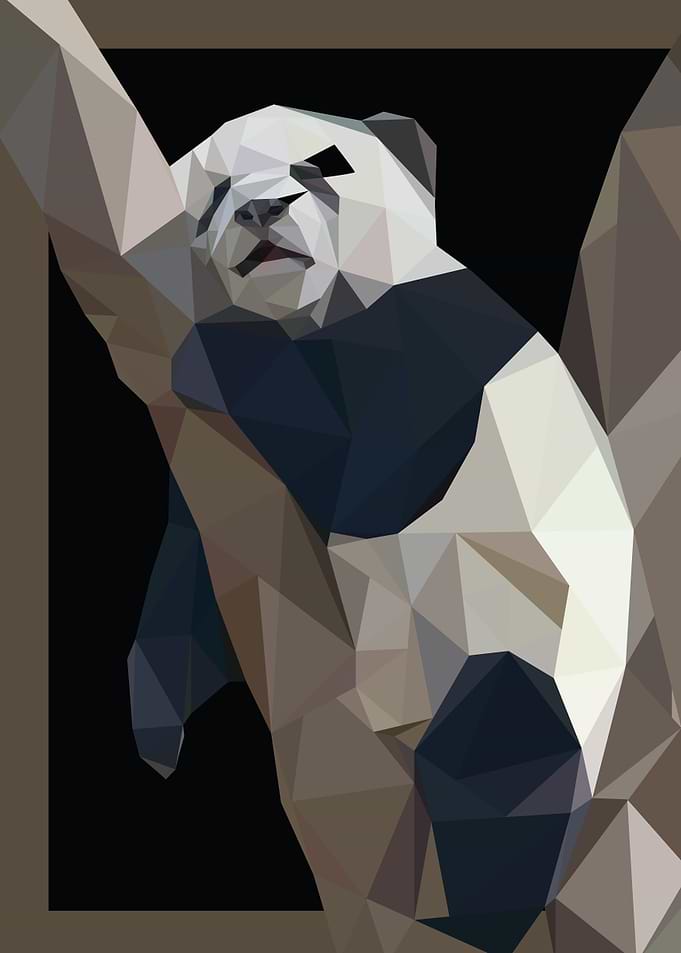 panda