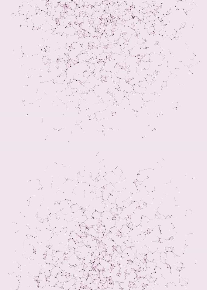 Network Mesh