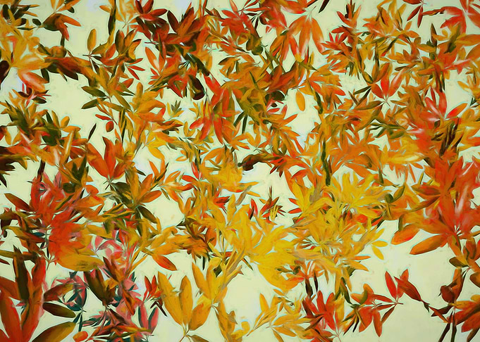 Autumnal Foliage