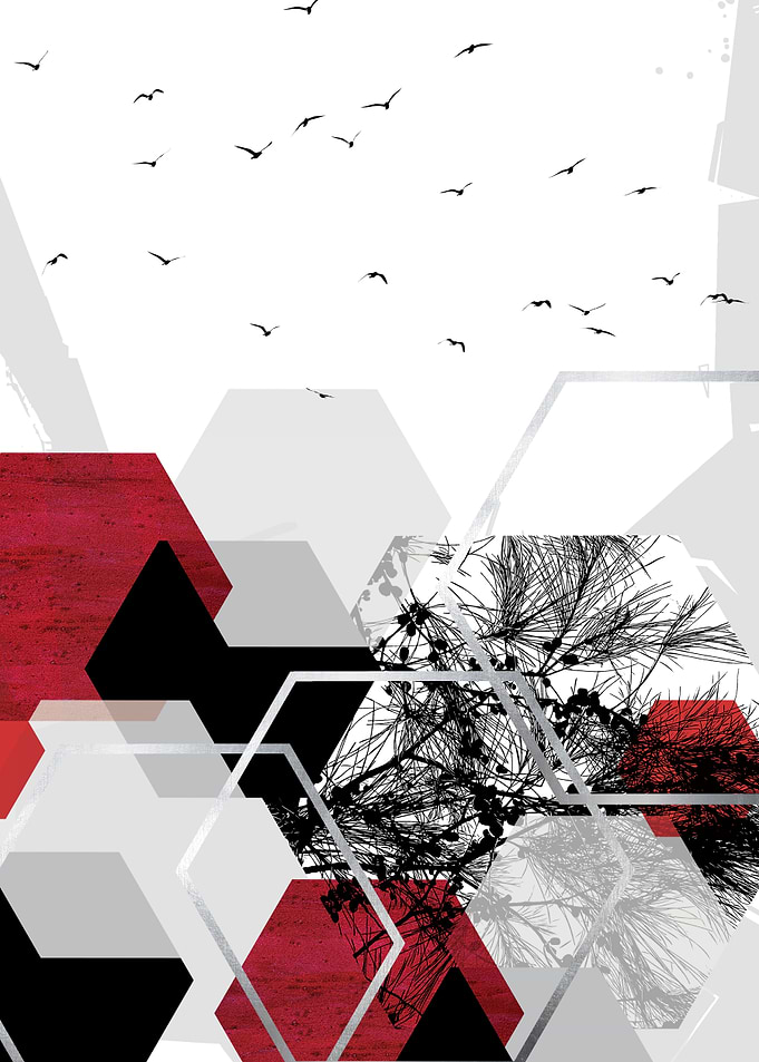 Red Hexagon landscape